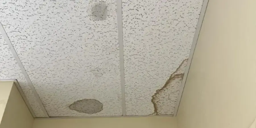 Water-stained acoustic ceiling tiles in a commercial space, Granada Hills commercial water damage